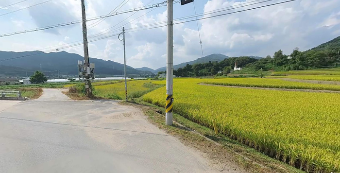 충북제천시백운면임야논밭전답땅토지매매물3.jpg