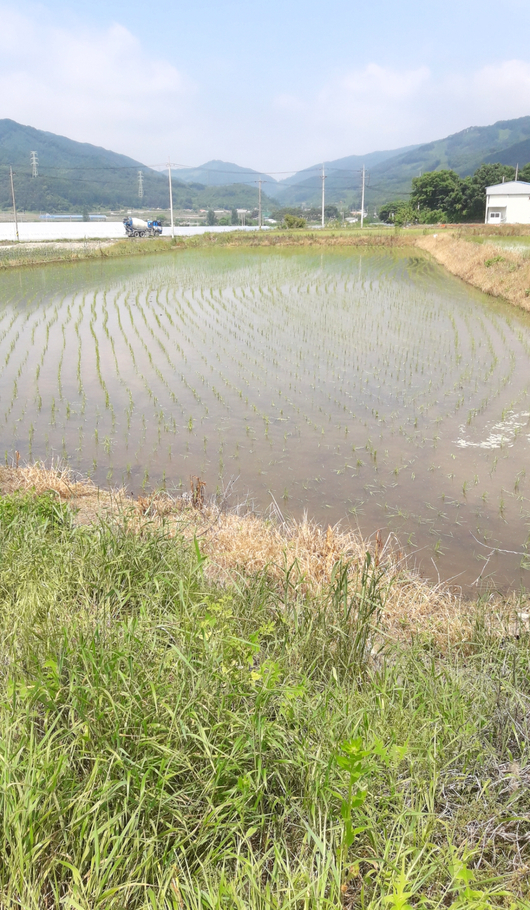 충북제천시백운면임야논밭전답땅토지매매물1.jpg