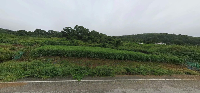 충북제천시백운면애련리토지밭전땅매매물3.png