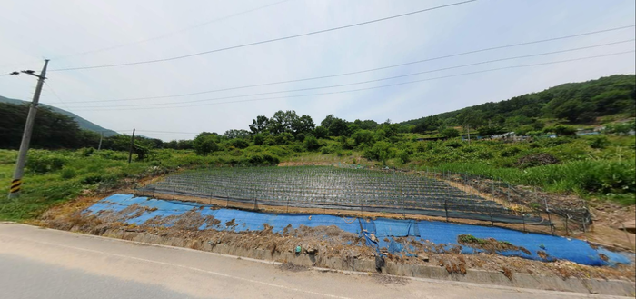 충북제천시백운면애련리토지밭전땅매매물1.png