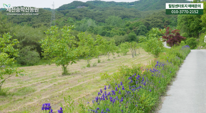 충북제천송학산농원토지땅임야단독주택과수원호두농장매매물3.png