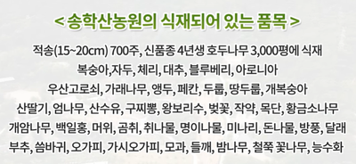 충북제천송학산농원토지땅임야단독주택과수원호두농장매매물15.png