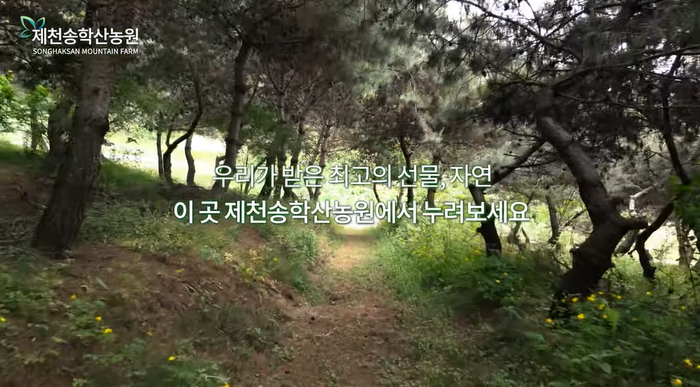충북제천송학산농원토지땅임야단독주택과수원호두농장매매물17.png