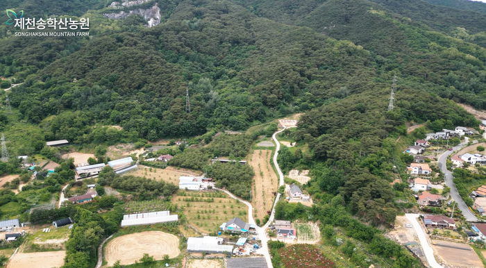 충북제천송학산농원토지땅임야단독주택과수원호두농장매매물1.png
