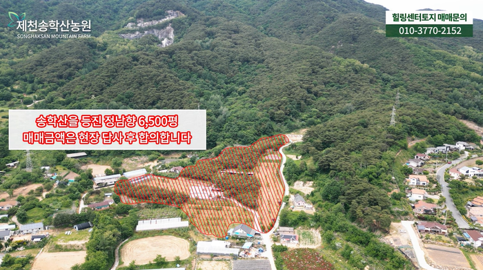 충북제천송학산농원토지땅임야단독주택과수원호두농장매매물2.png