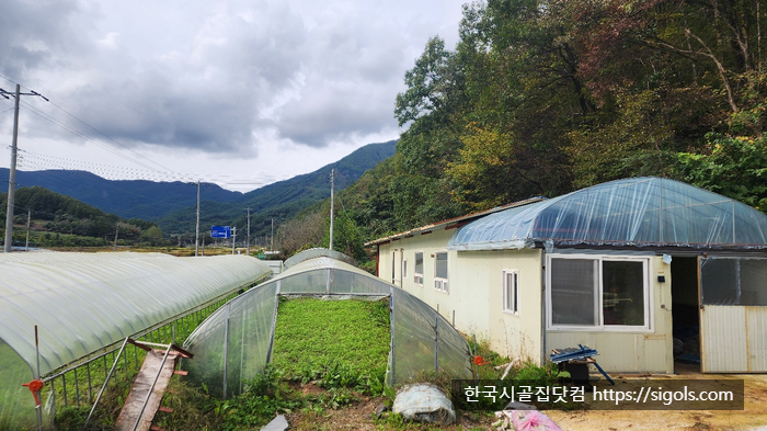경북문경산북면단독주택시골집전밭토지땅매매물7.jpg