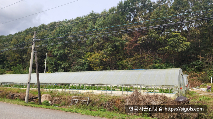 경북문경산북면단독주택시골집전밭토지땅매매물6.jpg