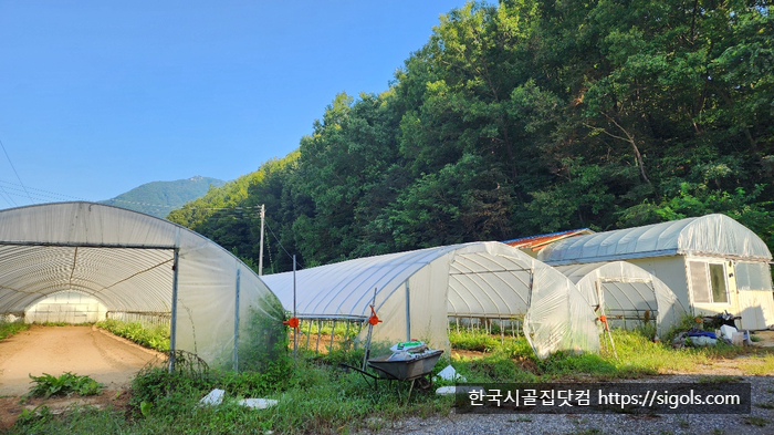 경북문경산북면단독주택시골집전밭토지땅매매물9.jpg