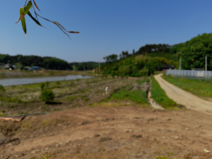 충남당진시송산면전원주택단독주택부지논토지땅매매물3.jpg