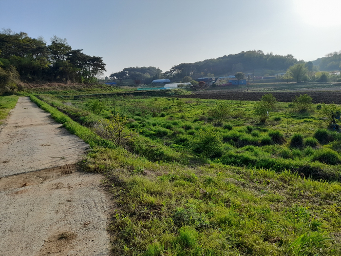 충남당진시송산면전원주택단독주택부지논토지땅매매물2.jpg