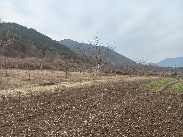 고성토지매매2.jpg